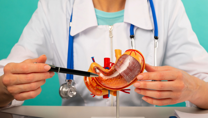 Bariatric Surgery Guide: Types, Benefits & What to Expect