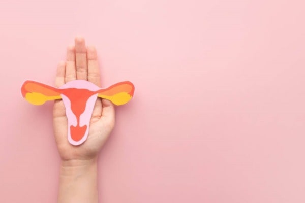 Best PCOS treatment in whitefield, Bangalore Best PCOS treatment in whitefield, Bangalore